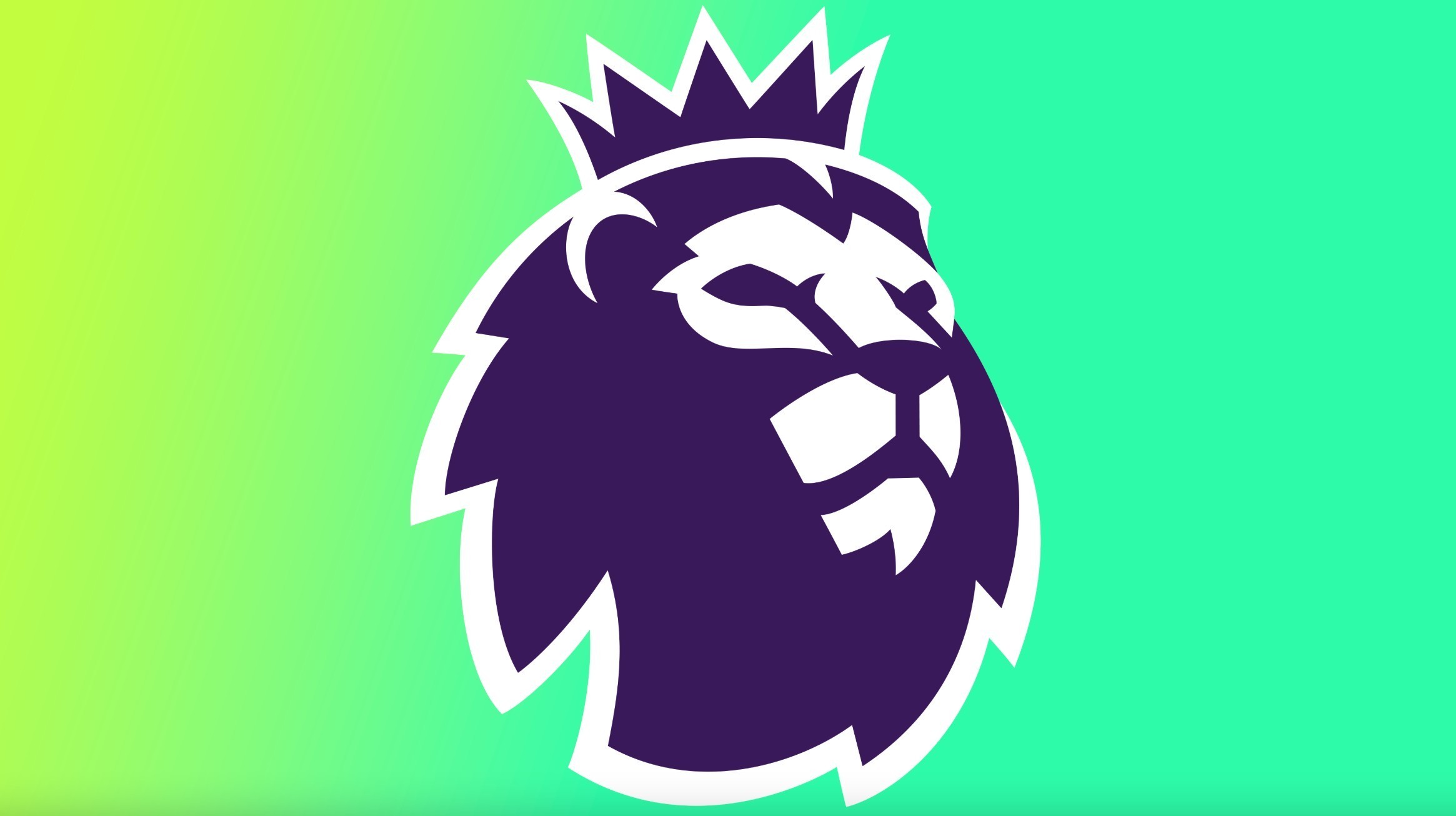 生了质的飞 生了质的飞